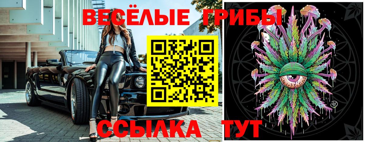 Сухой Лог  Галлюциногенные грибы Psilocybine cubensis  Вход с VPN  где купить наркоту  Галлюциногенные грибы Cubensis 