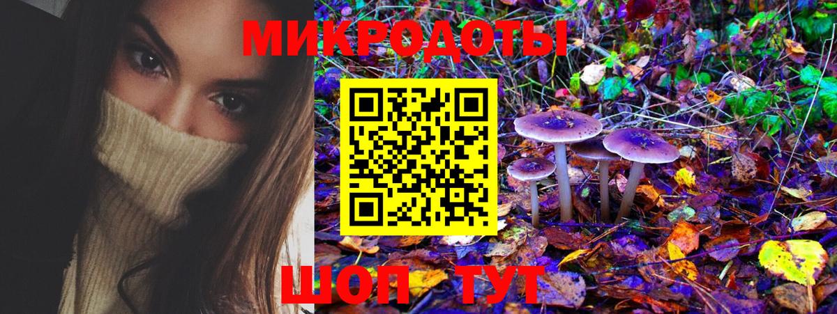 Псилоцибиновые грибы Cubensis Сухой Лог